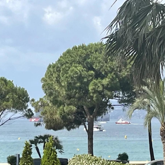 Annonces CANNES : Appartement | CANNES (06400) | 76.00m2 | 1 690 000 € 