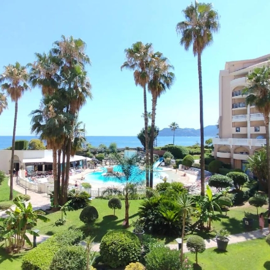 Annonces CANNES : Appartement | CANNES (06150) | 38.00m2 | 227 000 € 
