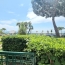  Annonces CANNES : Appartement | CANNES (06150) | 44 m2 | 370 000 &euro; 