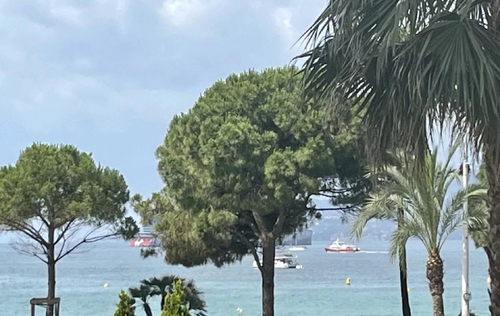  Annonces CANNES Appartement | CANNES (06400) | 76 m2 | 1 690 000 € 